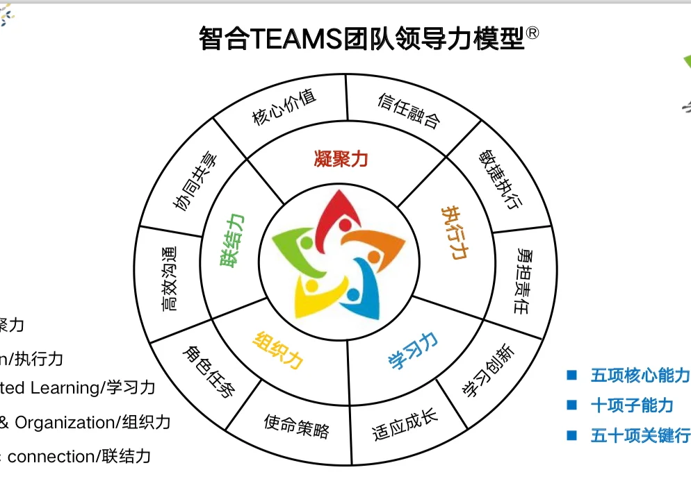 最佳团队：完整阵容和团队合作分析的简单介绍