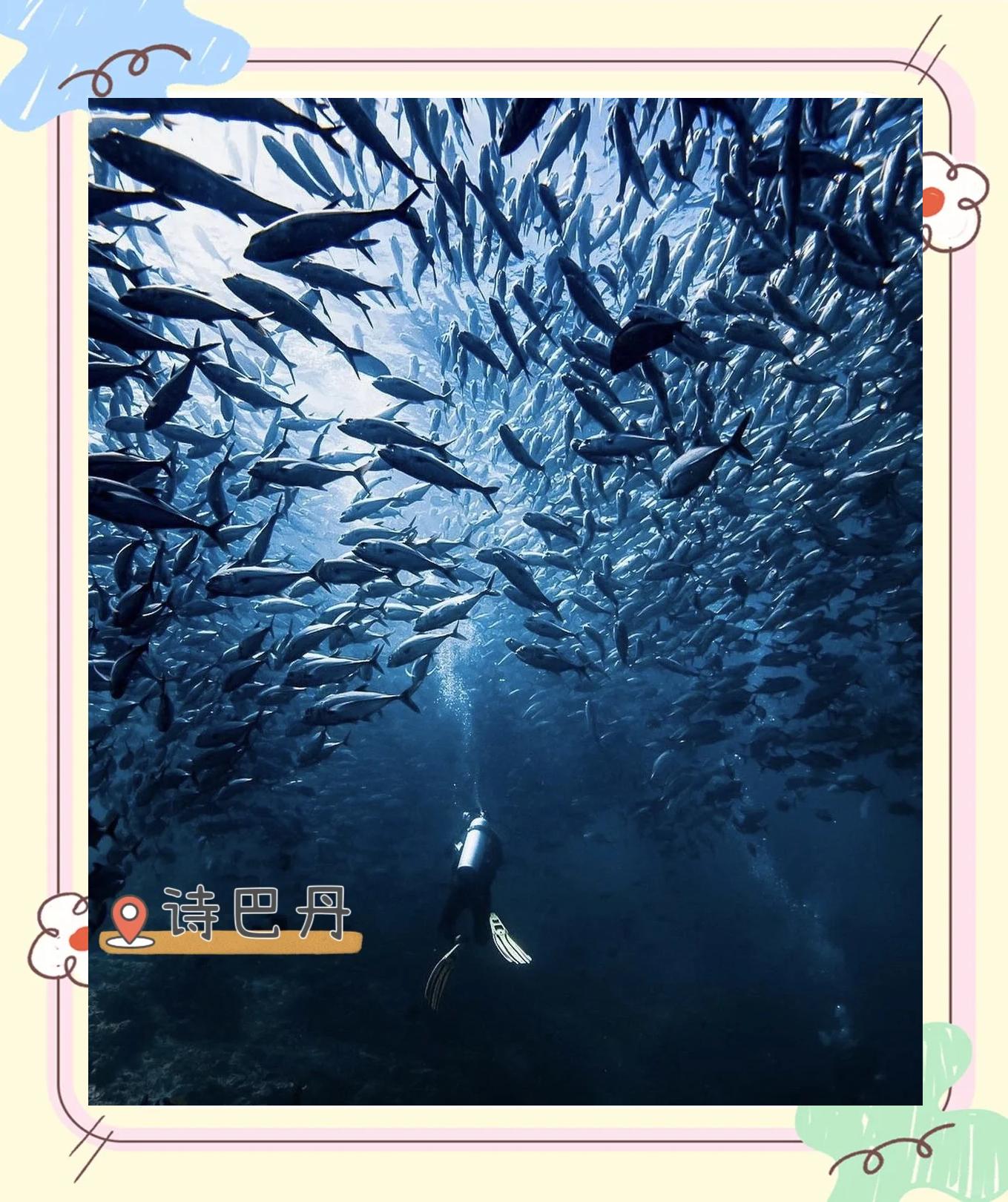 kaiyun xiazai-关于海洋水下潜水运动大会，探索深海的奥秘与壮丽的信息