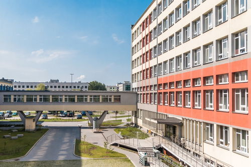 开云体育保障-中国青少年篮球课程体系现代化建设，《中国青少年篮球训练教学大纲(2013版)》