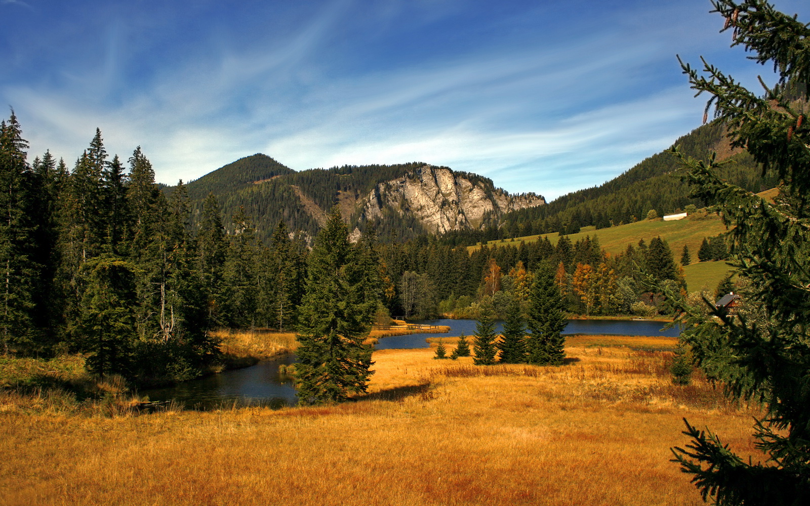 全黑队的防守体系严密，威胁敌方进攻，黑队什么意思