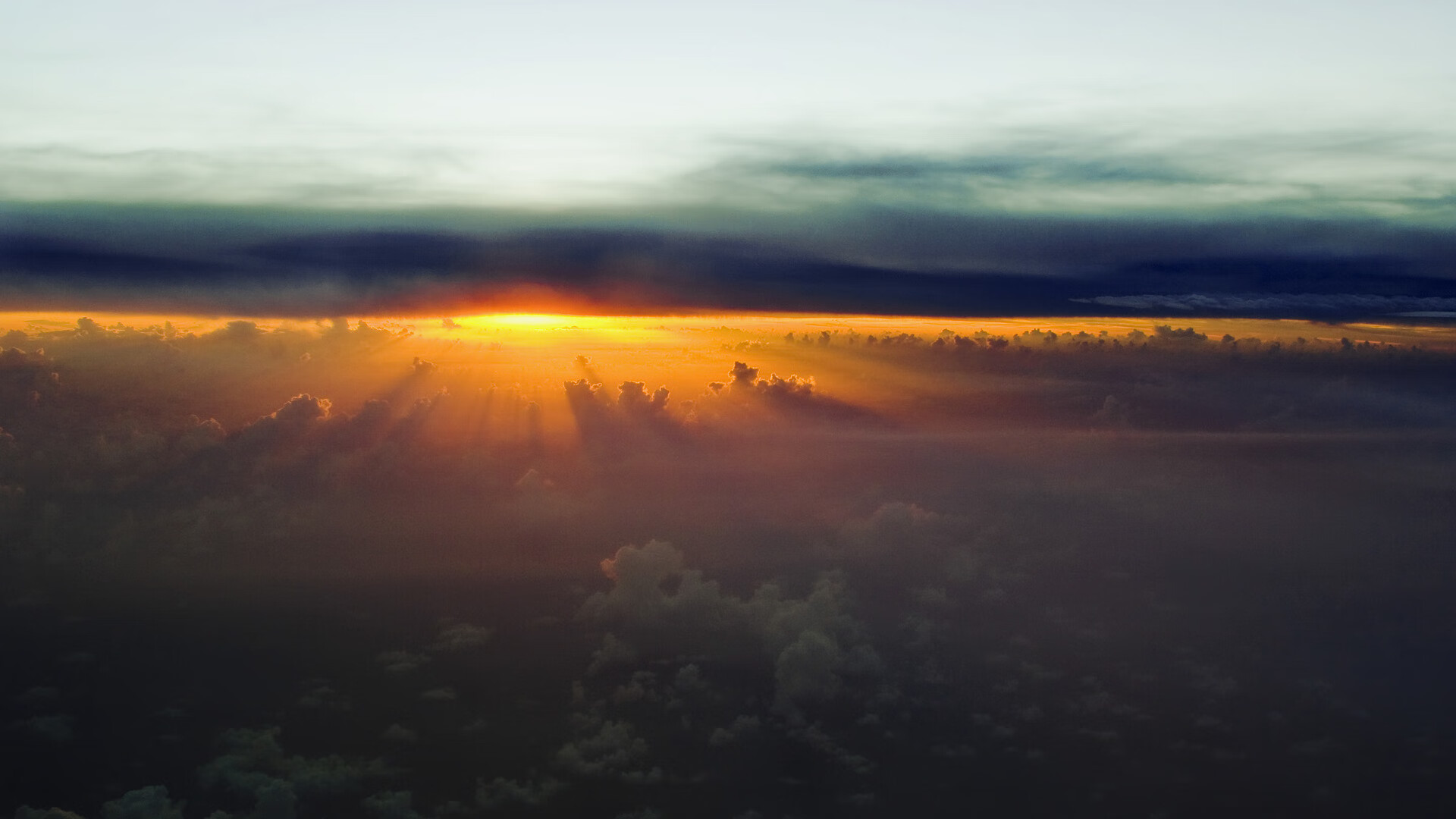 张伟丽新书发布记录格斗成长之路，张伟丽格斗图片