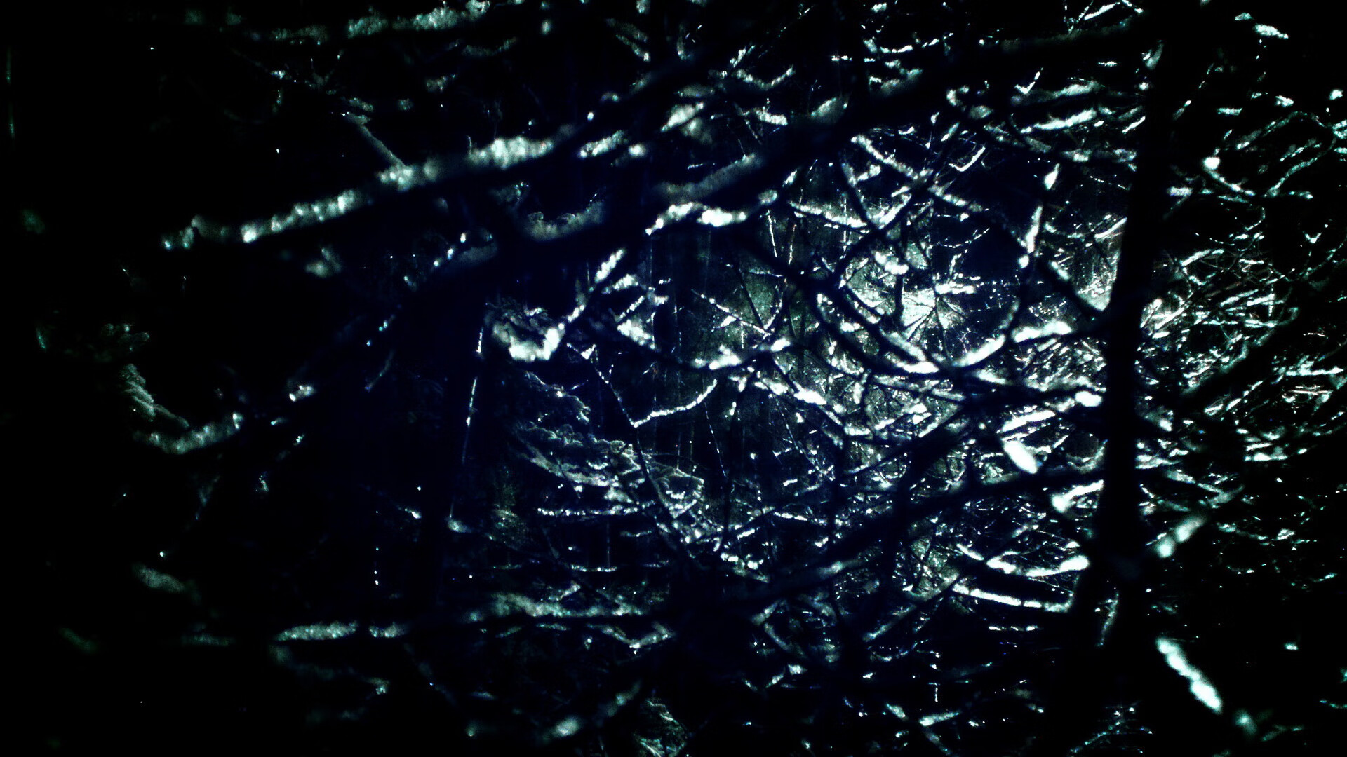 法国男队未来潜力巨大，法国队规划名单