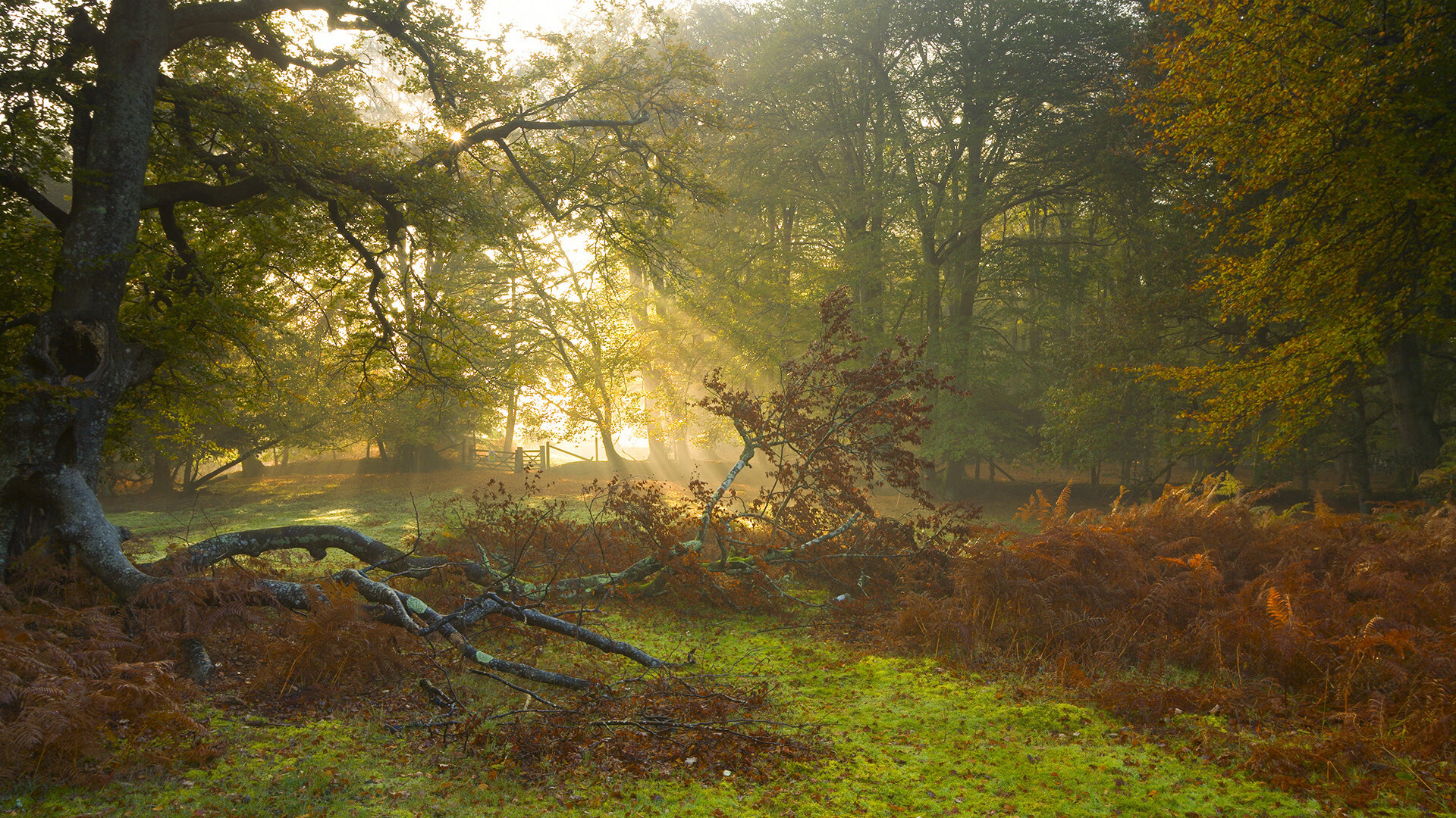 湖人球员自发组织早餐会增强团队关系，湖人签约发展联盟球员