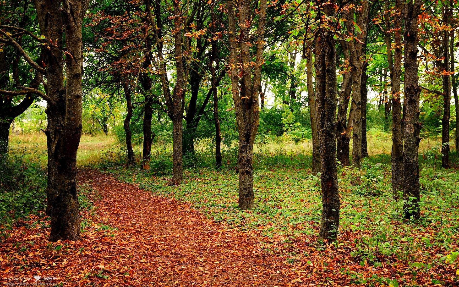 西甲疯抢瞬间：突破、射门、扑救不断！，西甲射手榜最新